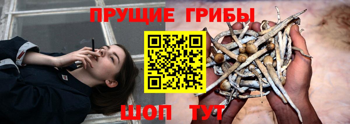Псилоцибиновые грибы мицелий  Вход с VPN  Галлюциногенные грибы прущие грибы  сколько стоит  Гуково 